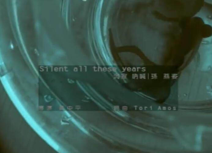 孙燕姿 Sun Yan-Zi – Silent All These Years (华纳 official 官方完整版MV)