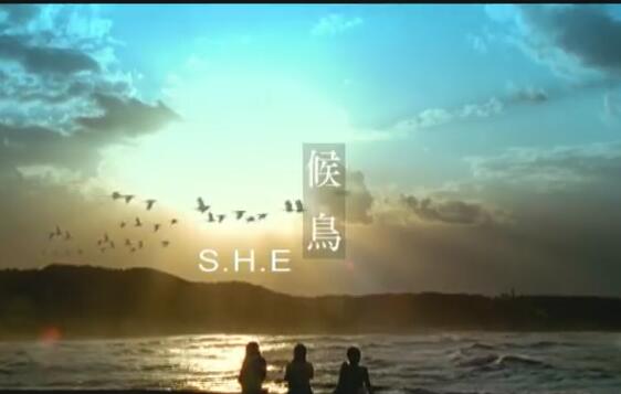 S.H.E [候鸟 Migratory Bird] Official Music Video 高清MV