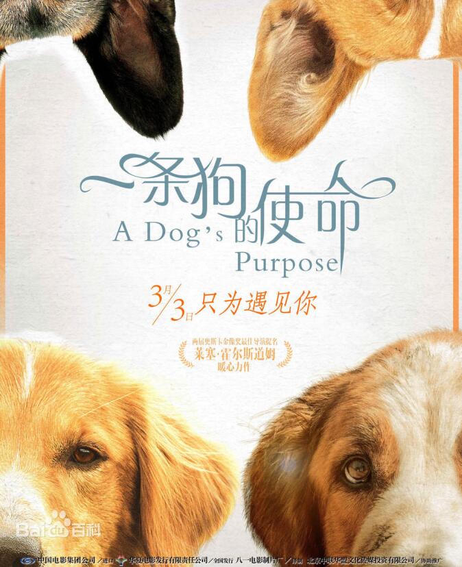 Rachel Portman – A Dog’s Purpose(为了与你相遇|一条狗的使命 电影原声)[320K/MP3]