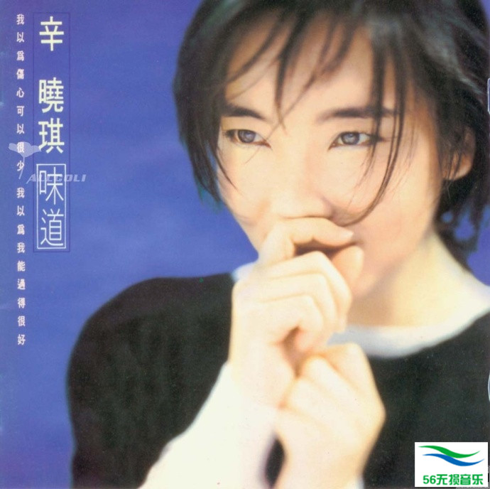 辛晓琪 – 《味道》1994 台K1首版[WAV 无损]免费下载